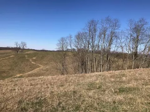 887 Rogers Gap Rd, Georgetown, KY 40324 photo 21