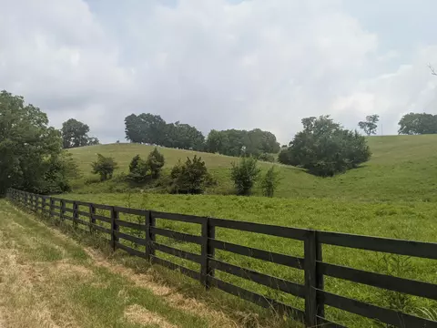 887 Rogers Gap Rd, Georgetown, KY 40324 photo 2