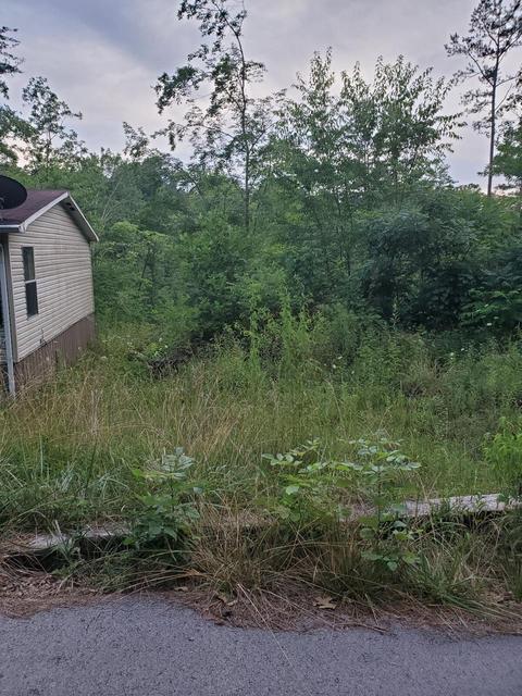 345 Super Rd, Burnside, KY 42519 photo 29
