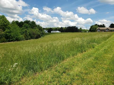72 Johnny Dr, Science Hill, KY 42553