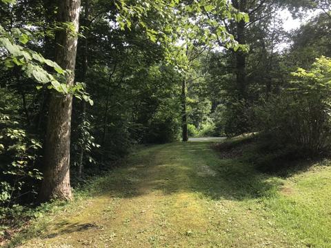 100 Igo Rd, Morehead, KY 40351 photo 13