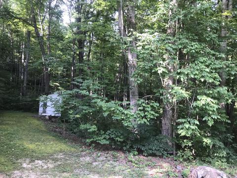 100 Igo Rd, Morehead, KY 40351 photo 24