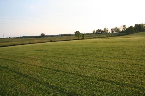 999 Wyan Rd # B, London, KY 40744