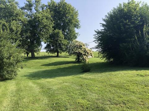 608 Lost Fork Rd, Richmond, KY 40475 photo 3
