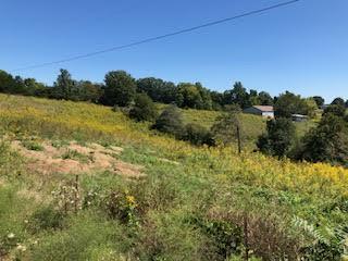 20 Lakepoint View Rd, Monticello, KY 42633