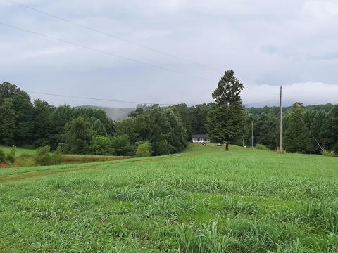 3581 Dry Fork Rd, Windsor, KY 42565 photo 7