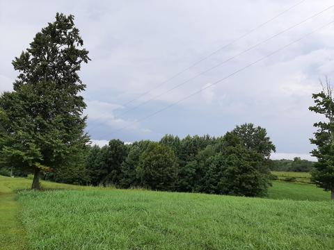 3581 Dry Fork Rd, Windsor, KY 42565 photo 6