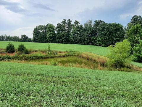 3581 Dry Fork Rd, Windsor, KY 42565 photo 2