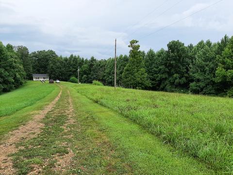 3581 Dry Fork Rd, Windsor, KY 42565 photo 5