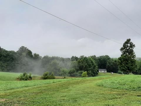 3581 Dry Fork Rd, Windsor, KY 42565 photo 8