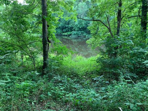 520 Flint Rd, Waco, KY 40385 photo 9