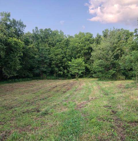 520 Flint Rd, Waco, KY 40385 photo 5
