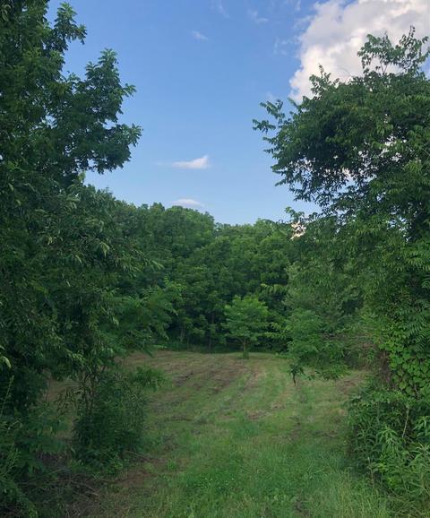 520 Flint Rd, Waco, KY 40385 photo 4