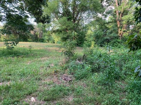 520 Flint Rd, Waco, KY 40385 photo 13