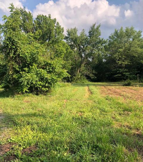 520 Flint Rd, Waco, KY 40385 photo 6