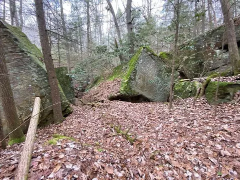 551 Rogers Rd, Corbin, KY 40701 photo 104