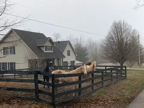 551 Rogers Rd, Corbin, KY 40701 photo 54