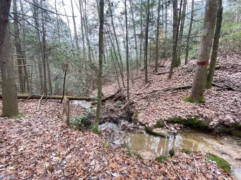 551 Rogers Rd, Corbin, KY 40701 photo 96