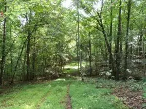 1 Green Stable Lane, Monticello, KY 42633