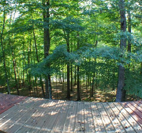 1258 Jasper Lake Dr, Burnside, KY 42519 photo 15