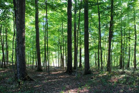 1258 Jasper Lake Dr, Burnside, KY 42519 photo 7