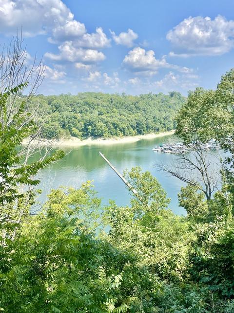 39 Bridgeview Dr, Nancy, KY 42544 photo 22