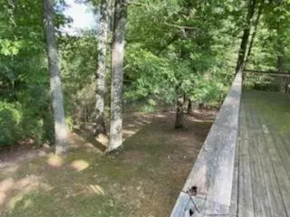 115 Pine Tree Ln, Morehead, KY 40351 photo 26