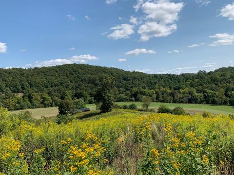 1672 Left Fork Morgans Creek Rd, Louisa, KY 41230