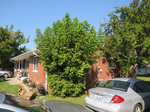 504 Roy Kidd Ave, Corbin, KY 40701 photo 1