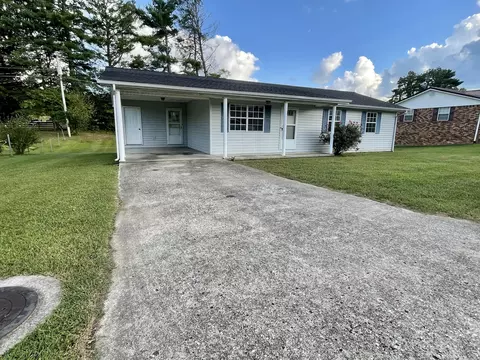 166 Clear Pine Dr, Pine Knot, KY 42635 photo 2