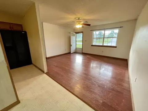 166 Clear Pine Dr, Pine Knot, KY 42635 photo 5