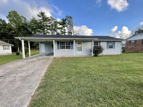 166 Clear Pine Dr, Pine Knot, KY 42635 photo 1