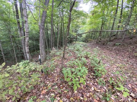 353 Timber Ridge Rd, Nancy, KY 42544 photo 63