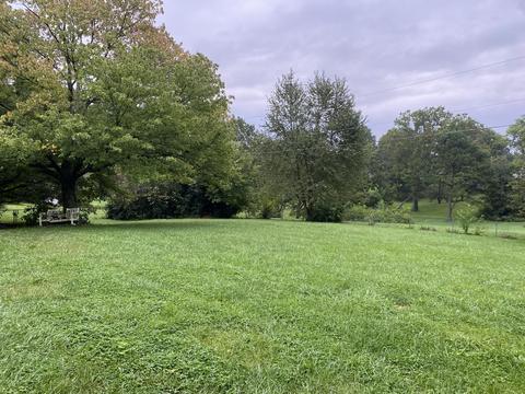 218 Augusta Dr, Georgetown, KY 40324 photo 3