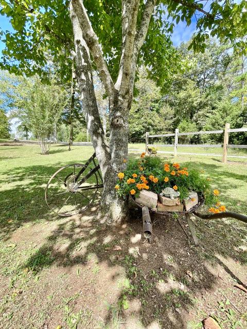 3221 Dixie Bend Rd, Burnside, KY 42519 photo 54