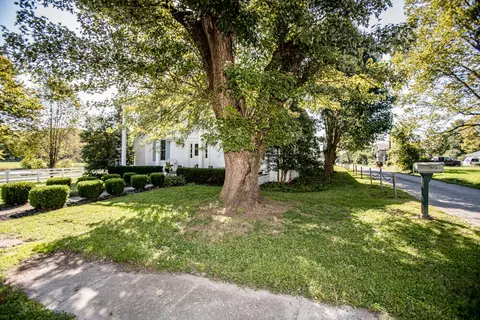 103 Maple Ave, Berry, KY 41003 photo 8