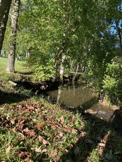 4911 Willailla Rd, Brodhead, KY 40409 photo 85