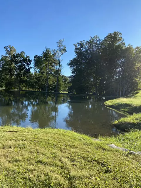 4911 Willailla Rd, Brodhead, KY 40409 photo 80