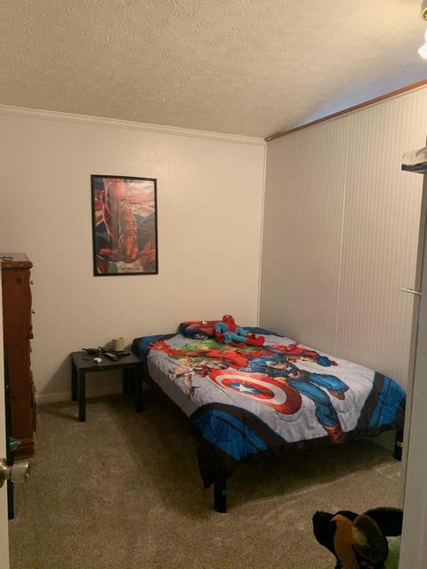 138 Blake Ln, Berry, KY 41003 photo 10