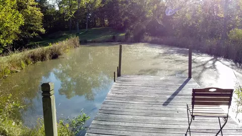 196 Mallard Point Dr, Georgetown, KY 40324 photo 9
