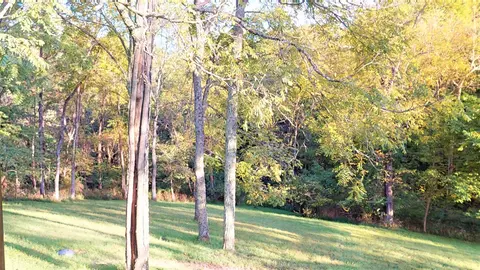 196 Mallard Point Dr, Georgetown, KY 40324 photo 64