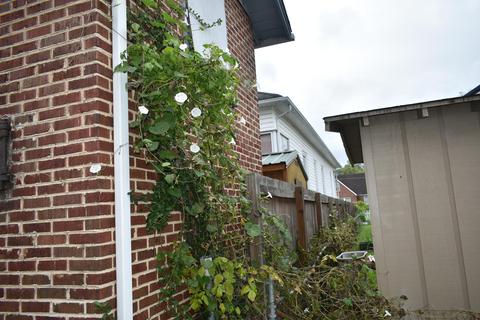 302 Exeter Ave, Middlesboro, KY 40965 photo 12