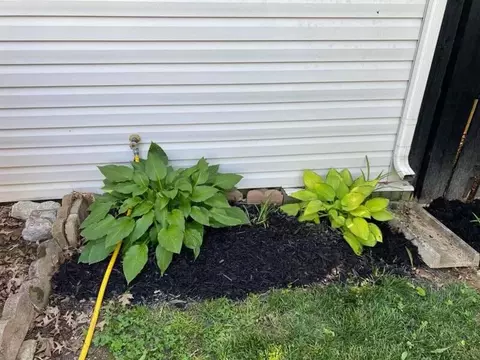3952 Hillside Dr, Lexington, KY 40514 photo 31