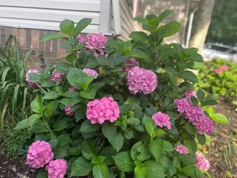 3952 Hillside Dr, Lexington, KY 40514 photo 28