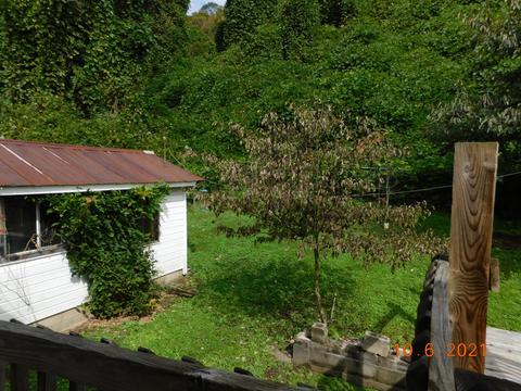 43 Redbud Ct, Evarts, KY 40828 photo 30