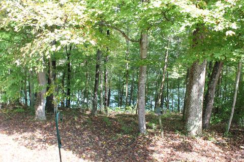 126 N Thoreau Dr, Burnside, KY 42519 photo 5