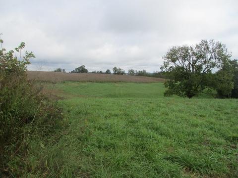 4097 Hilltop Rd, Ewing, KY 41039 photo 8