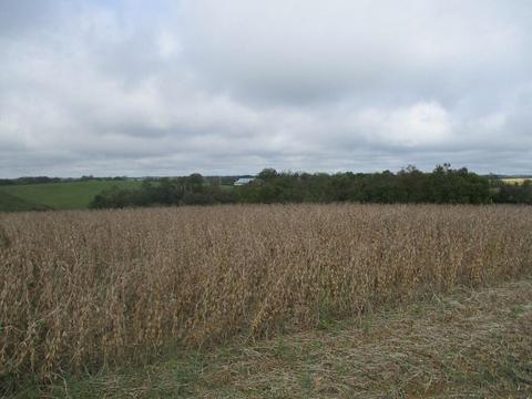 4097 Hilltop Rd, Ewing, KY 41039 photo 12