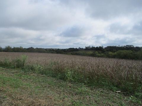 4097 Hilltop Rd, Ewing, KY 41039 photo 11