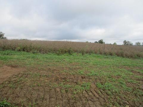 4097 Hilltop Rd, Ewing, KY 41039 photo 3